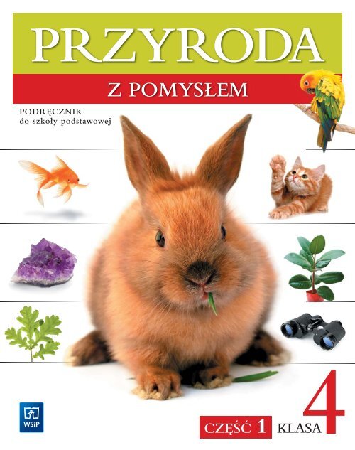 Przyroda z pomysłem, Klasa 4 (SP 4-6)