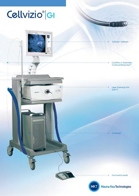 Cellvizio : le système médical de minisonde d'endoscopie ... - IDO