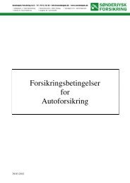 Forsikringsbetingelser for Autoforsikring - SÃ¸nderjysk Forsikring