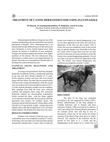 treatment of canine dermatomycosis using fluconazole - Jivaonline.net