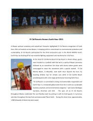 El Cid Resorts Honors Earth Hour 2011