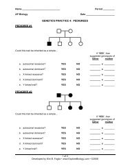 Pedigree Worksheet Answers