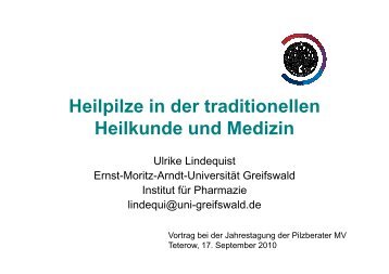 Heilpilze In Der Traditionellen Heilkunde Und Medizin A