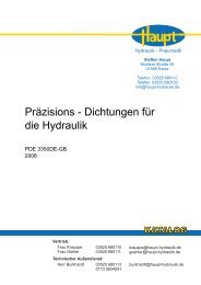 Präzisions - Dichtungen für die Hydraulik - Steffen Haupt - Hydraulik ...