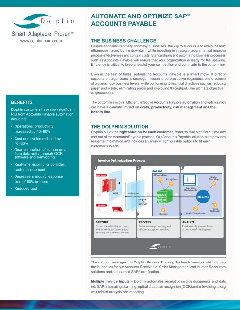 Automate and Optimize SAP Accounts Payable - Dolphin