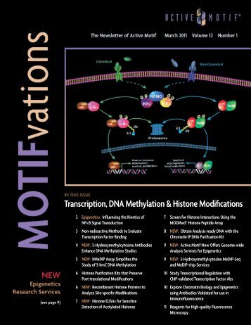 5-Hydroxymethylcytosine Antibodies Enhance DNA ... - Active Motif