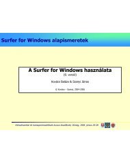 Surfer for Windows alapismeretek A Surfer for Windows hasznÃ¡lata