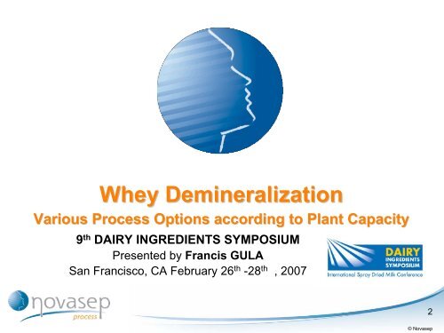 Whey Demineralization: Various Process Options According to Plant