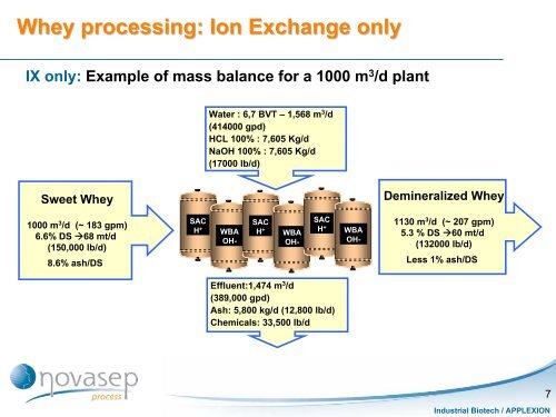 Whey Demineralization: Various Process Options According to Plant