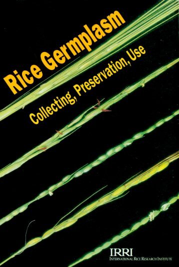 The International Network for Rice Germplasm ... - IRRI books