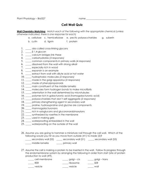 Cell Wall Quiz - Employees Csbsju