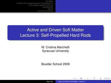 Active and Driven Soft Matter Lecture 3 - Boulder School for ...
