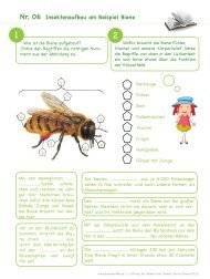 vier Beispiele - Bienenkoffer