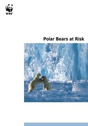 Polar Bears at Risk (2002) - WWF Blogs