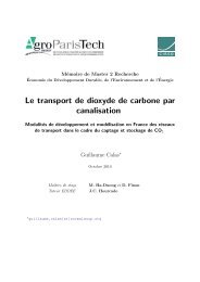 Le transport de dioxyde de carbone par canalisation - Centre ...