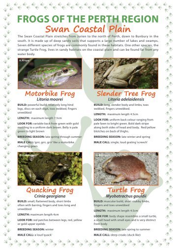 Frogs of the Perth Region - Swan Coastal Plain.pdf - SERCUL