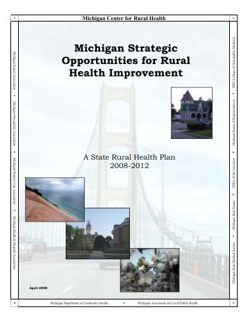 Michigan Strategic Opportunities for Rural Health ... - State of Michigan