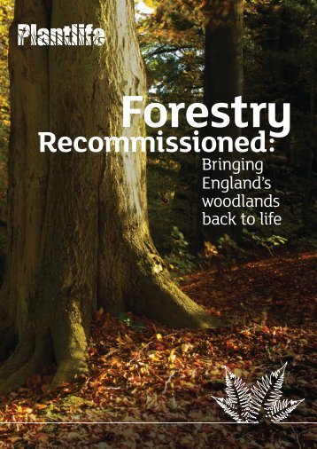 Forestry Recommissioned: Bringing England's woodlands ... - Plantlife