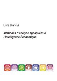 Livre-Blanc-Intelligence-Analysis