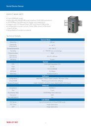 Serial Device Server GW51C-MAXI-WDT Technical ... - Welotec GmbH