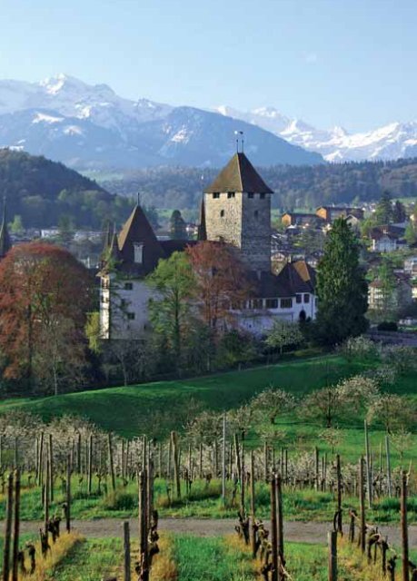 Das Schloss und seine bewegte Geschichte - in Spiez