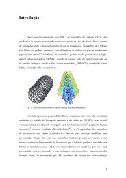 DissertaÃ§Ã£o: corpo do trabalho em formato PDF - Departamento de ...