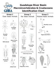 Download a copy of the Guadalupe River Basin Macroinvertebrates ...