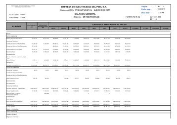 empresa de electricidad del peru sa rubros balance general ...