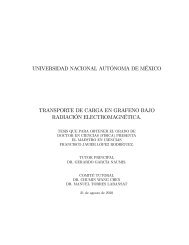 Transporte de carga en Grafeno bajo radiaciÃ³n electromagnÃ³tica