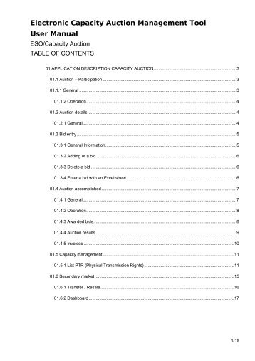 Electronic Capacity Auction Management Tool User Manual