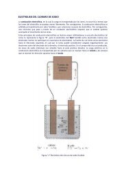 Electrolisis del NaCl.pdf