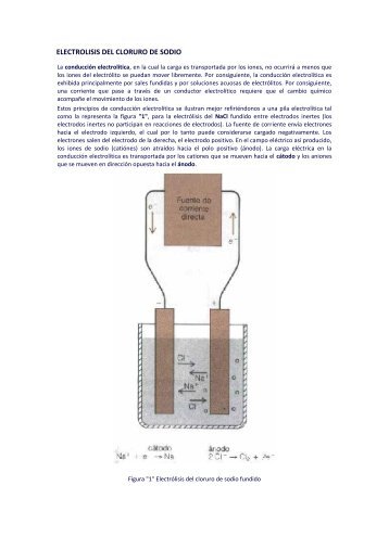 Electrolisis del NaCl.pdf
