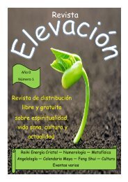 Revista Elevación Nº1, Noviembre 2014.