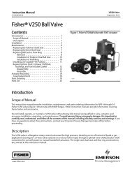 FisherÂ® V250 Ball Valve
