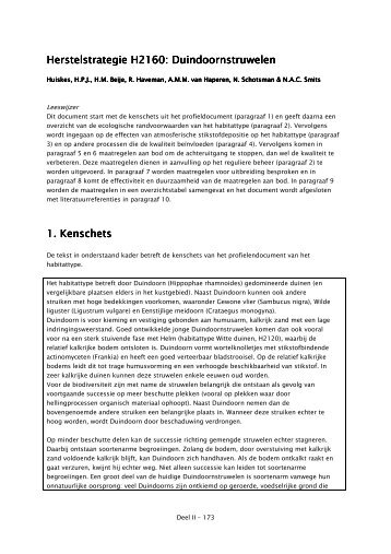 Herstelstrategie H2160: Duindoornstruwelen - Natura 2000