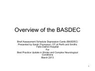 Overview of the BASDEC