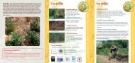 Les paillis Les paillis - Loiret Nature Environnement