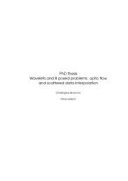 PhD thesis Wavelets and ill posed problems: optic flow and ...