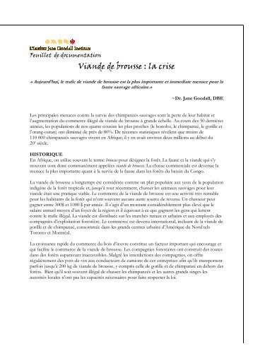 Viande de brousse : la crise - the Jane Goodall Institute of Canada