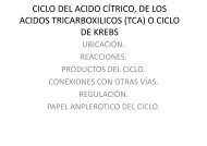 23. ciclo de krebs, del acido citrico o de los acidos tricarboxilicos