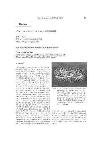 Review ゾウリムシのトリコシストの防御機能 - 日本原生動物学会