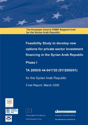 Feasibility Study to develop new options for private sector - Frankfurt ...