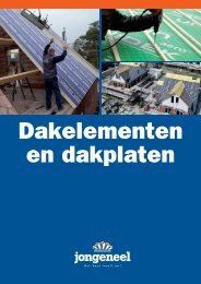 Dakelementen en dakplaten - Jongeneel