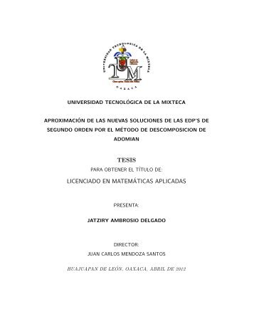 TESIS LICENCIADO EN MATEMÃTICAS APLICADAS - Universidad ...