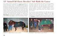 Sales - Canadian Warmblood Horse Breeders Association