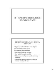 Elaboracion Flujo de Caja Privado