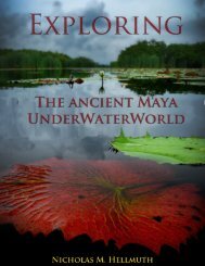 Waterlily Guatemala Mayan ethnobotany - Maya Archaeology