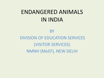 endangered animals in india - National Museum of Natural History