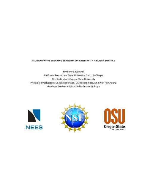 Tsunami wave behavior
