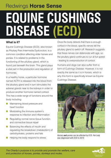 EQUINE CUSHINGS DISEASE - Redwings